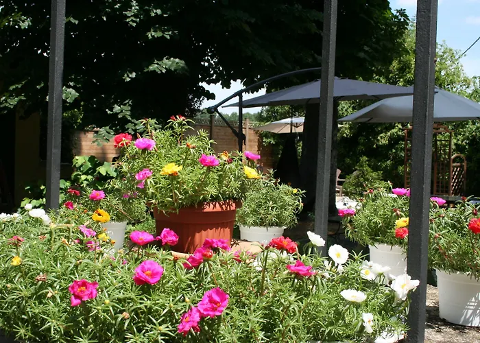 Alle Scuole بيت ضيافة