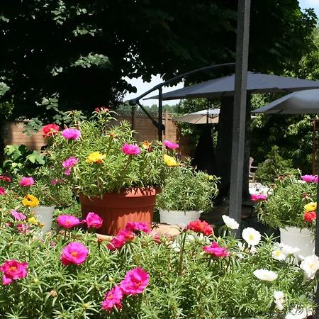 Alle Scuole Penzion