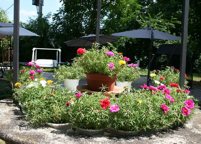 Guest house Alle Scuole